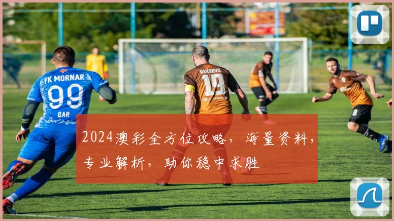 2024澳彩全方位攻略，海量资料，专业解析，助你稳中求胜